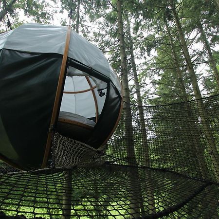 Bed and Breakfast Insolite Dans Les Arbres Les Ormes, Epiniac Exterior foto