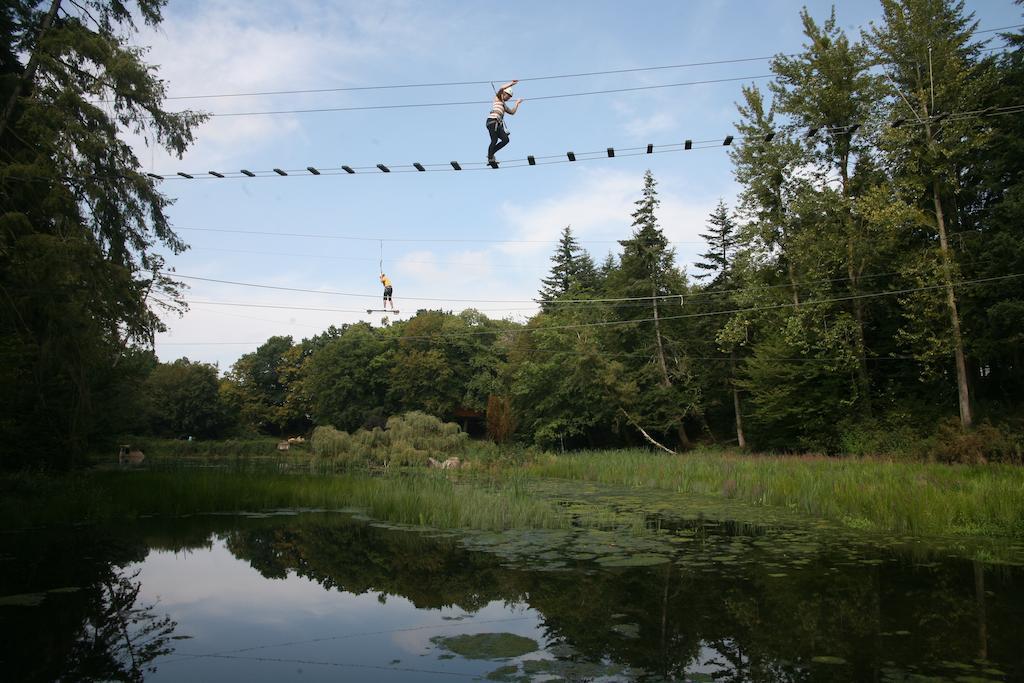 Bed and Breakfast Insolite Dans Les Arbres Les Ormes, Epiniac Exterior foto