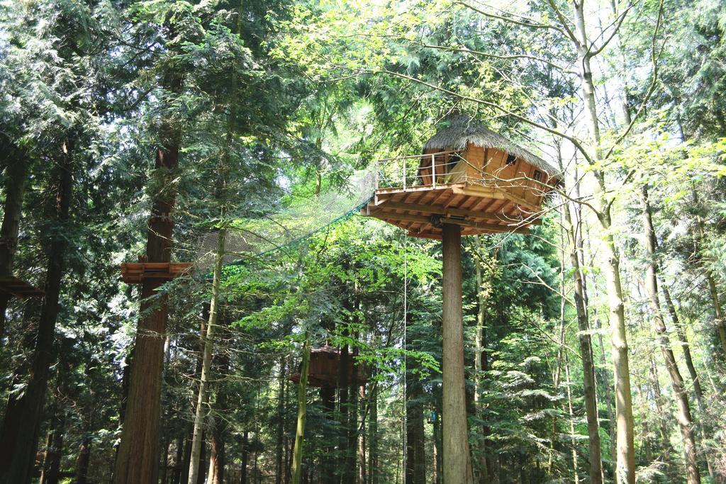 Bed and Breakfast Insolite Dans Les Arbres Les Ormes, Epiniac Exterior foto