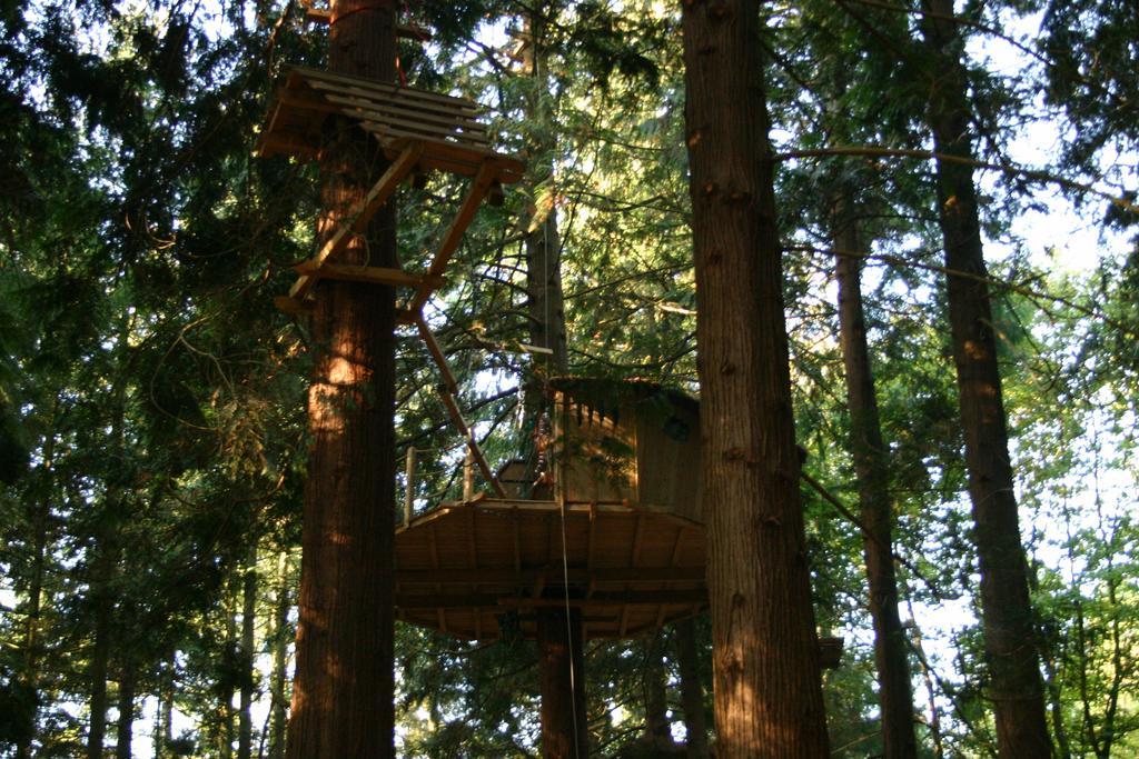 Bed and Breakfast Insolite Dans Les Arbres Les Ormes, Epiniac Exterior foto