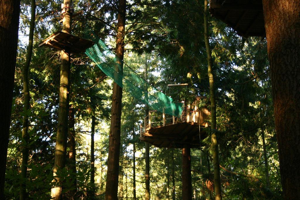 Bed and Breakfast Insolite Dans Les Arbres Les Ormes, Epiniac Exterior foto