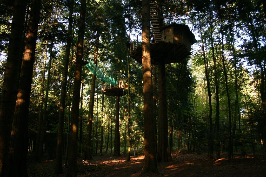 Bed and Breakfast Insolite Dans Les Arbres Les Ormes, Epiniac Exterior foto