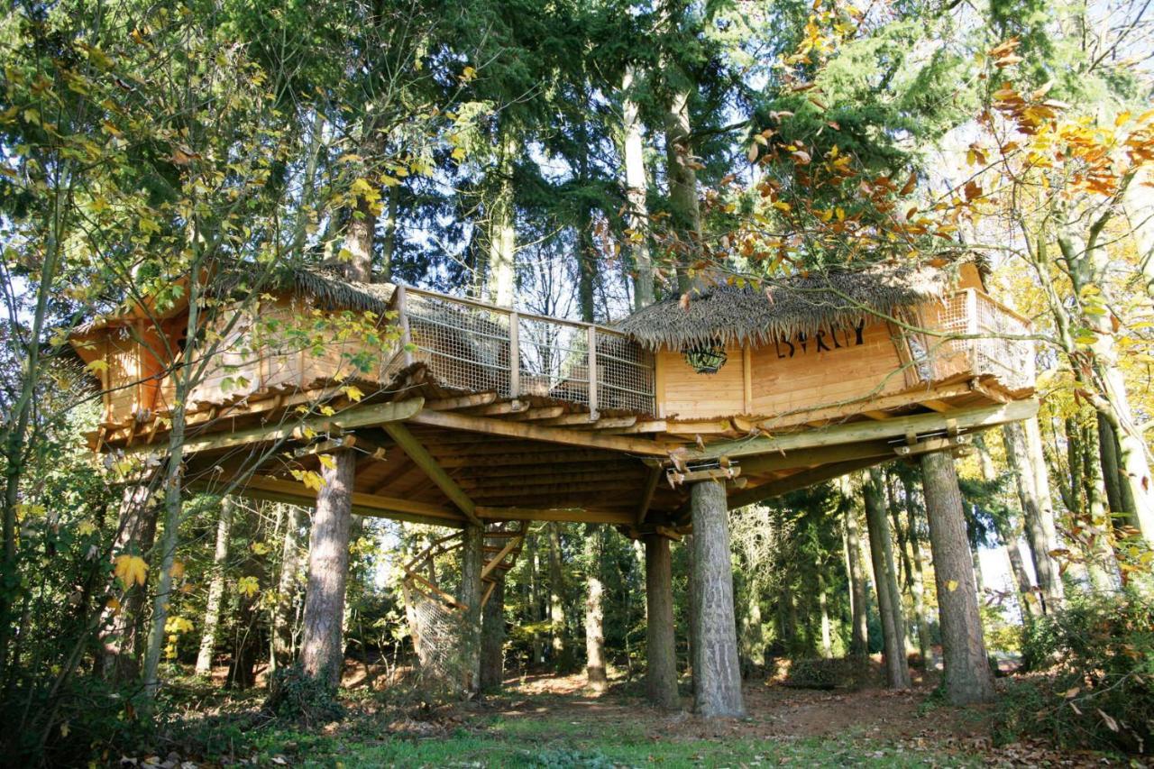 Bed and Breakfast Insolite Dans Les Arbres Les Ormes, Epiniac Exterior foto