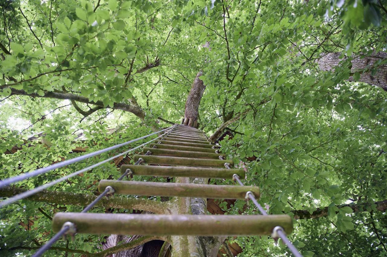 Bed and Breakfast Insolite Dans Les Arbres Les Ormes, Epiniac Exterior foto