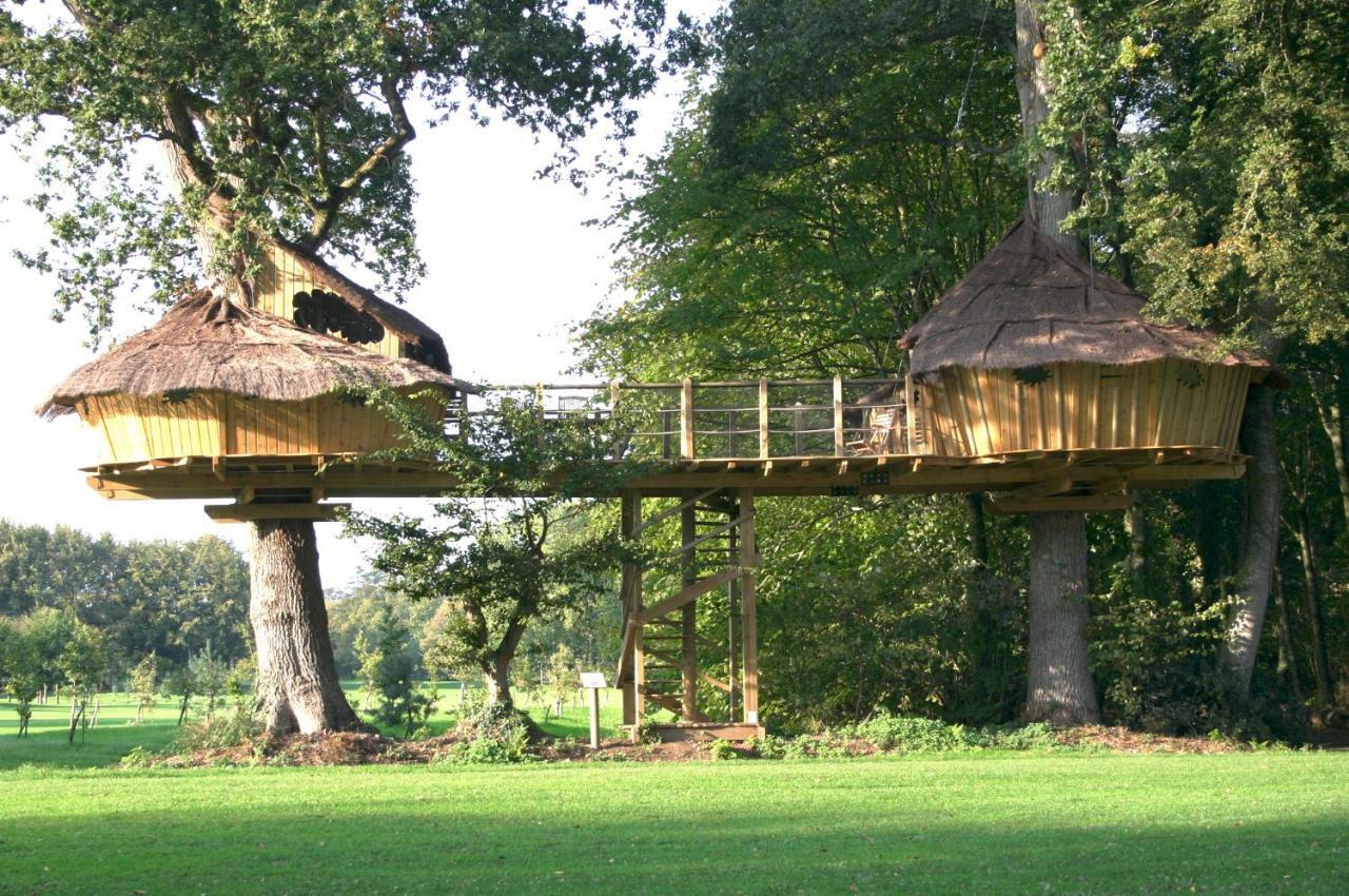 Bed and Breakfast Insolite Dans Les Arbres Les Ormes, Epiniac Exterior foto