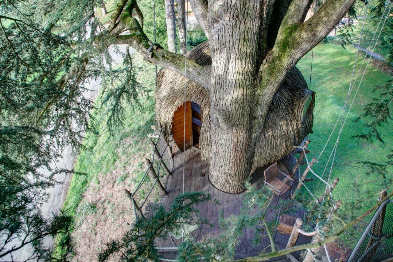 Bed and Breakfast Insolite Dans Les Arbres Les Ormes, Epiniac Exterior foto