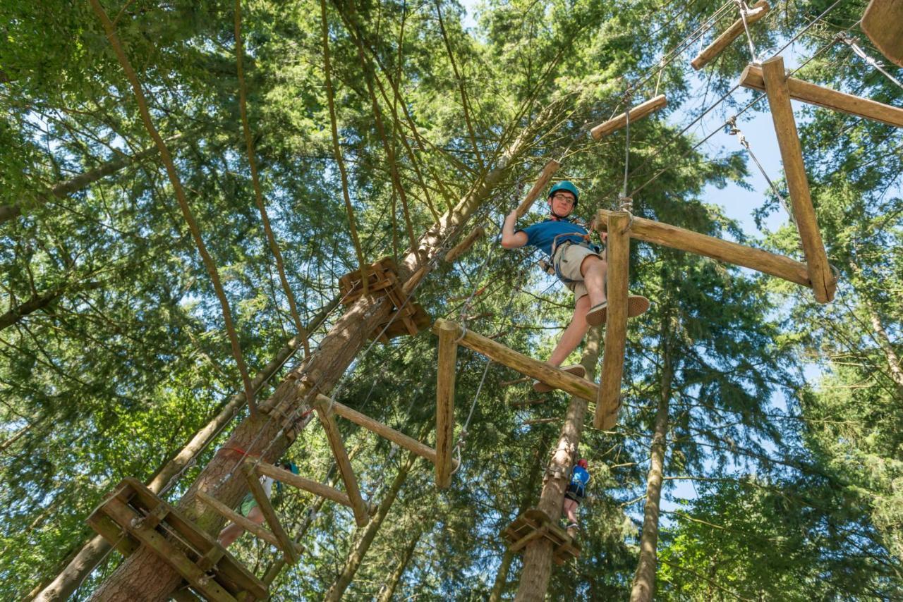 Bed and Breakfast Insolite Dans Les Arbres Les Ormes, Epiniac Exterior foto